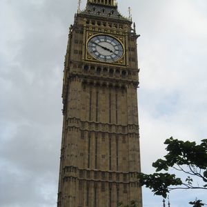 Meet your Posher, Carol